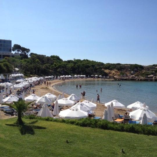 Queen Aphrodite Hotel Karpasa 外观 照片